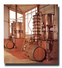 Distillatore per Cognac