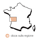 visualizza la regione del Cognac